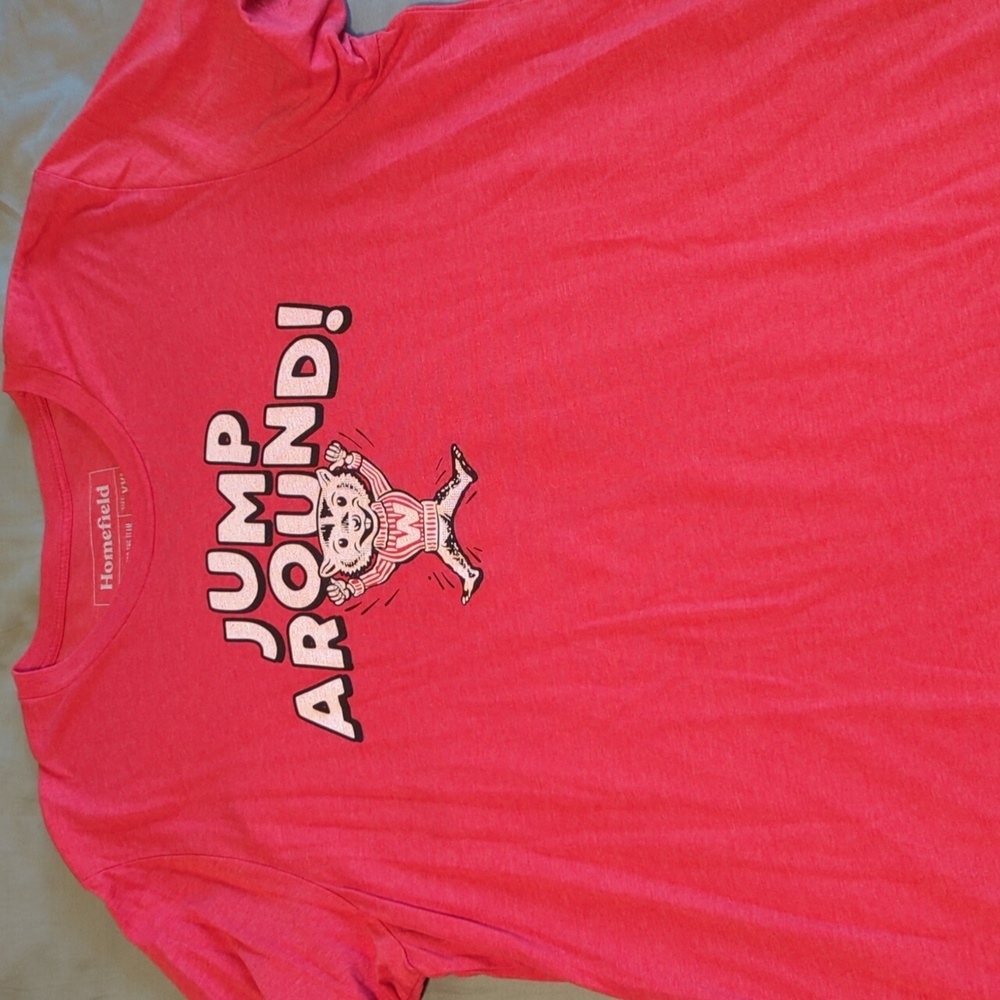 Vintage Wisconsin badger t shirt